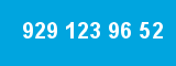 929 123 96 52